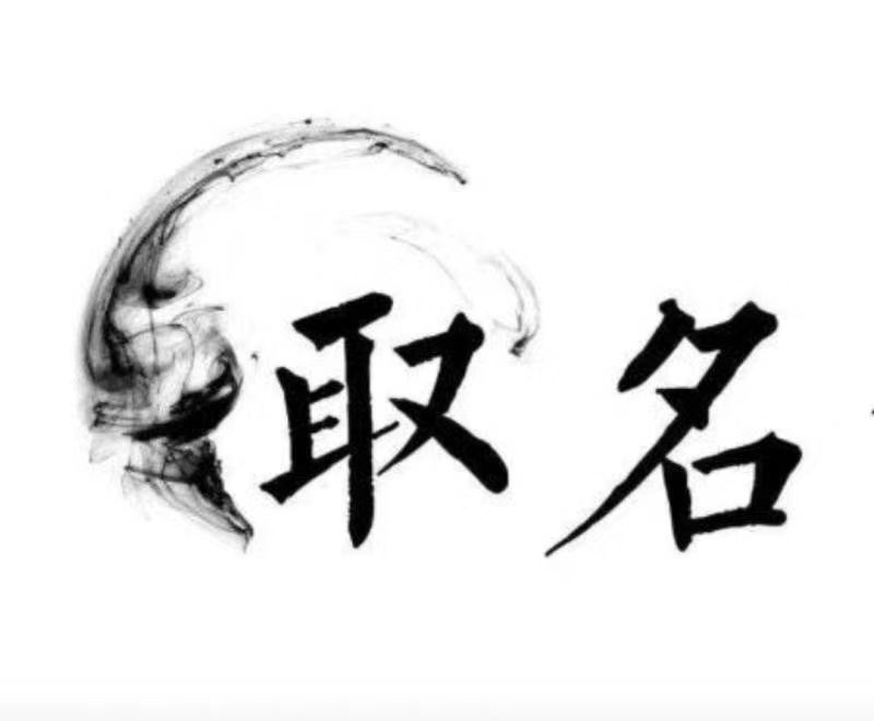  镇平宝宝取名 大师一对一人工起名